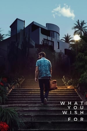 What You Wish For 2023 Dual Audio Hindi HDRip 720p – 480p – 1080p HD Poster Download - filmyfly