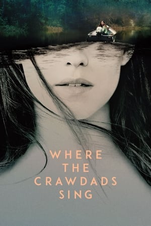Where the Crawdads Sing (2022) Hindi Dual Audio HDRip 720p – 480p HD Poster Download - filmyfly