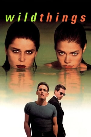 Wild Things (1998) 100mb Hindi Dual Audio Hevc BRRip Download HD Poster Download - filmyfly