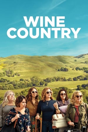 Wine Country (2019) Hindi Dual Audio 480p Web-DL 350MB HD Poster Download - filmyfly