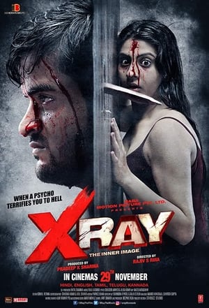 X Ray The Inner Image 2019 Movie 480p HDRip - [300MB] HD Poster Download - filmyfly