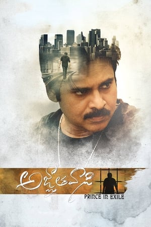 Yevadu 3 (Agnyaathavaasi) 2018 Dual Audio Hindi 480p UnCut HDRip 450MB HD Poster Download - filmyfly
