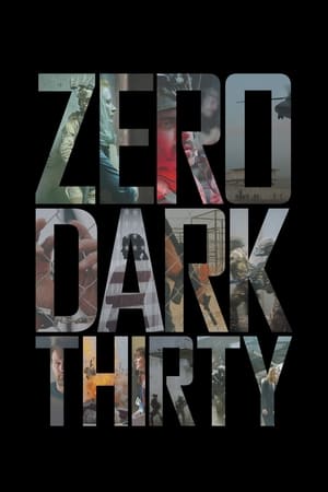 Zero Dark Thirty 2012 Hindi Dual Audio 480p BluRay 450MB HD Poster Download - filmyfly